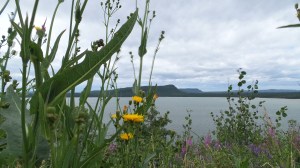 20150729_135308_Richtone(HDR)